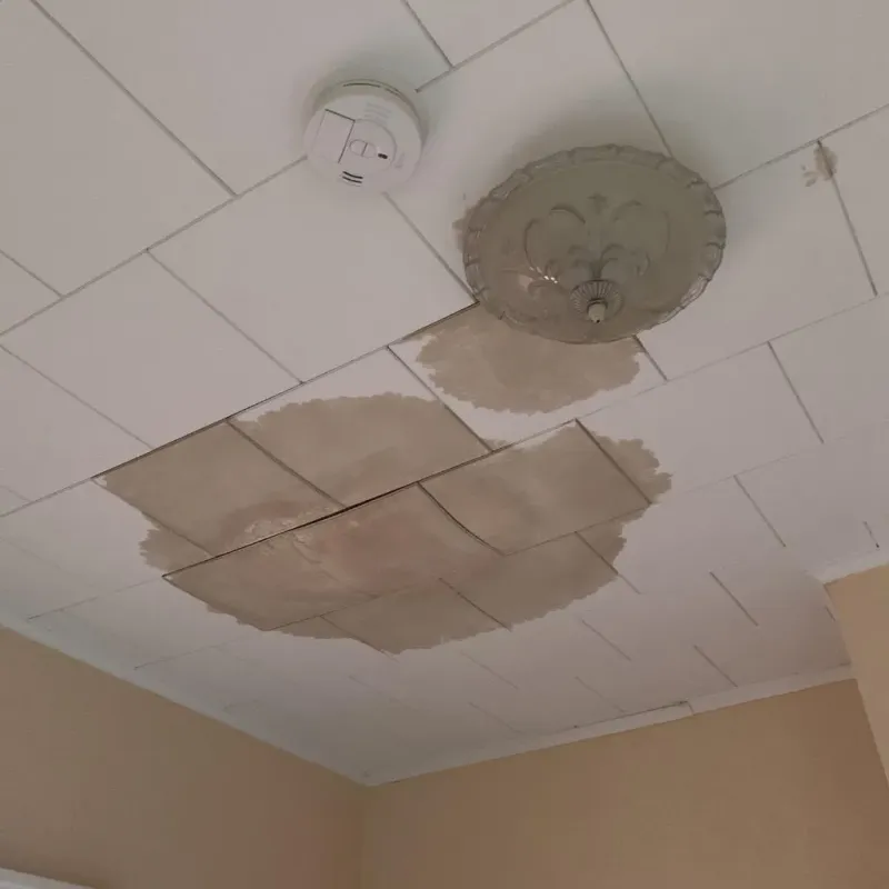 Ceiling Water Damage Repair in Pea Ridge, AR